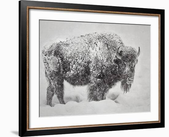 In the Storm-Wink Gaines-Framed Giclee Print