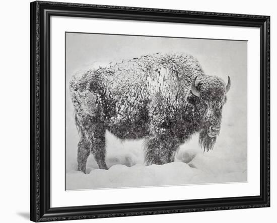 In the Storm-Wink Gaines-Framed Giclee Print