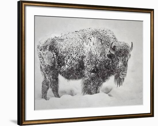 In the Storm-Wink Gaines-Framed Giclee Print