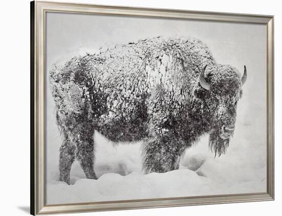 In the Storm-Wink Gaines-Framed Art Print