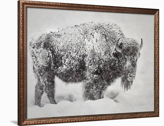 In the Storm-Wink Gaines-Framed Art Print