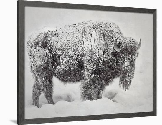 In the Storm-Wink Gaines-Framed Art Print