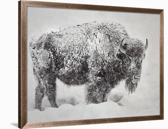 In the Storm-Wink Gaines-Framed Art Print