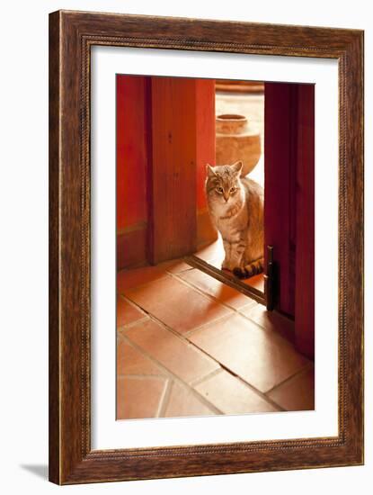 In the Sun-Karyn Millet-Framed Photographic Print