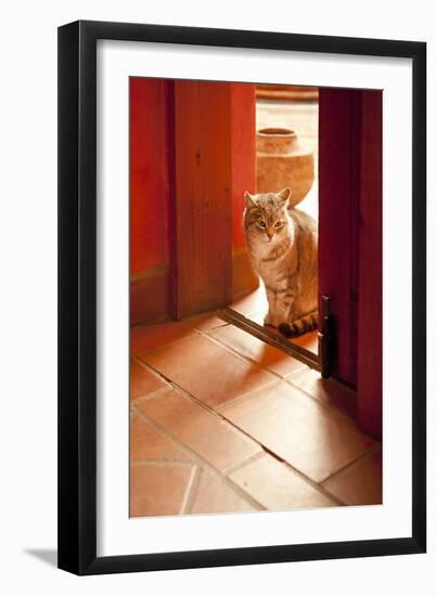 In the Sun-Karyn Millet-Framed Photographic Print