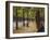 In the Tiergarten, Berlin-Max Liebermann-Framed Giclee Print