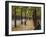 In the Tiergarten, Berlin-Max Liebermann-Framed Giclee Print