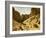 In the valley of the royal tombs, Egypt-English Photographer-Framed Giclee Print