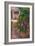 In The Vineyard, 2011-Marta Martonfi-Benke-Framed Giclee Print