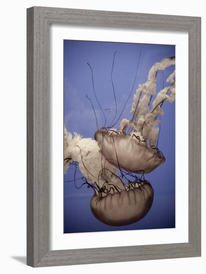 In the Water I-Erin Berzel-Framed Photographic Print