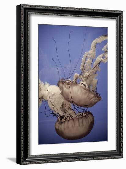 In the Water I-Erin Berzel-Framed Photographic Print