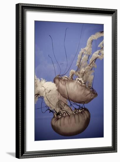 In the Water I-Erin Berzel-Framed Photographic Print