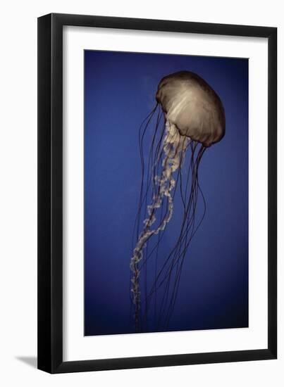 In the Water II-Erin Berzel-Framed Photographic Print