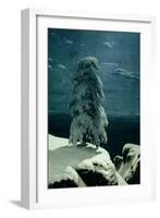 In the Wild North, 1891-Ivan Ivanovitch Shishkin-Framed Giclee Print