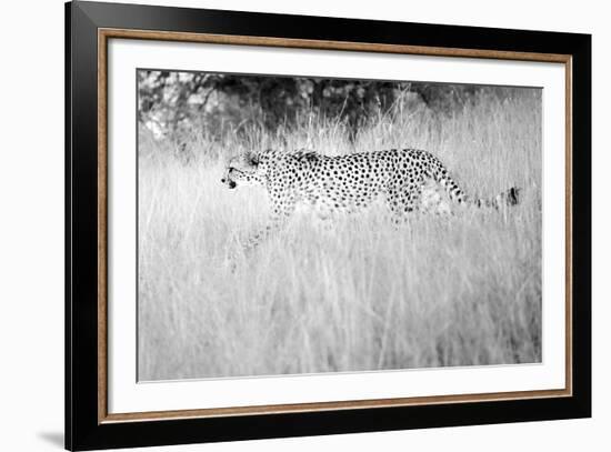 In The Wild-Lee Frost-Framed Giclee Print