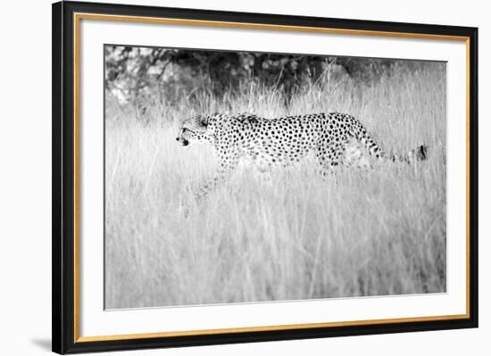 In The Wild-Lee Frost-Framed Giclee Print