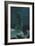 In the Wilds of the North-Ivan Ivanovich Shishkin-Framed Giclee Print