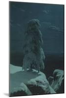 In the Wilds of the North-Ivan Ivanovich Shishkin-Mounted Giclee Print
