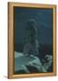 In the Wilds of the North-Ivan Ivanovich Shishkin-Framed Premier Image Canvas
