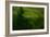 In the Wind-Kovop-Framed Photographic Print