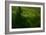 In the Wind-Kovop-Framed Photographic Print