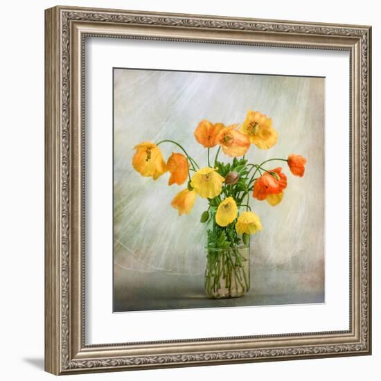 In the window-Mandy Disher-Framed Art Print