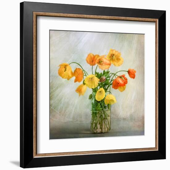 In the window-Mandy Disher-Framed Art Print