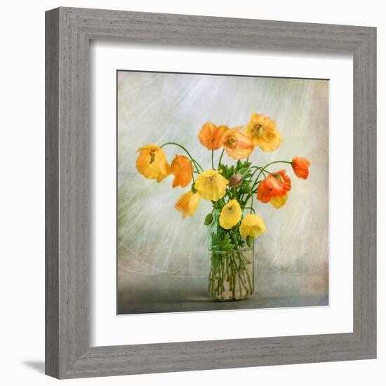 In the window-Mandy Disher-Framed Art Print