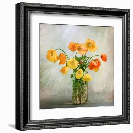 In the window-Mandy Disher-Framed Art Print