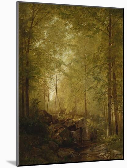In the Woods, 1872-William Trost Richards-Mounted Giclee Print