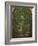 In the Woods-Edmund George Warren-Framed Giclee Print