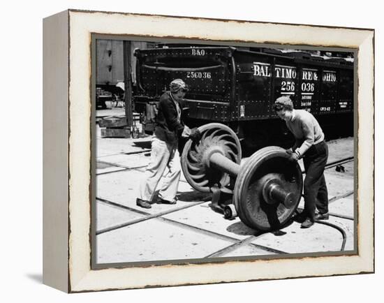 In the Yard-null-Framed Premier Image Canvas