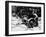 In the Yard-null-Framed Photographic Print