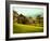 In the Yorkshire Dales-Jody Miller-Framed Photographic Print