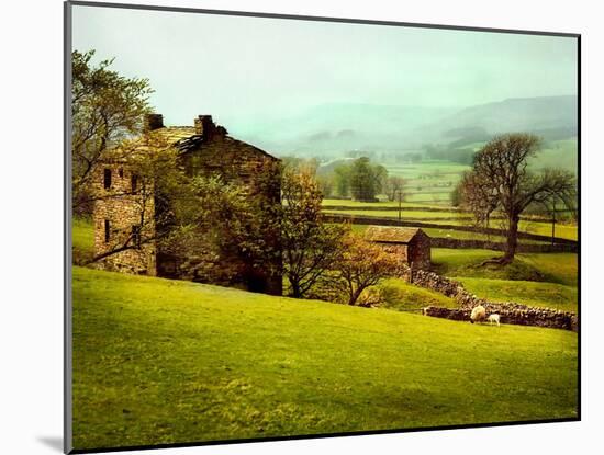 In the Yorkshire Dales-Jody Miller-Mounted Photographic Print