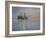 In to the Night-Bruce Dumas-Framed Giclee Print