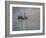 In to the Night-Bruce Dumas-Framed Giclee Print