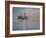 In to the Night-Bruce Dumas-Framed Giclee Print