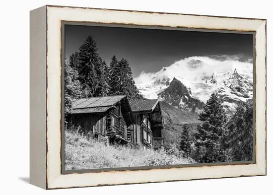 In Touch with Nature-Philippe Sainte-Laudy-Framed Premier Image Canvas