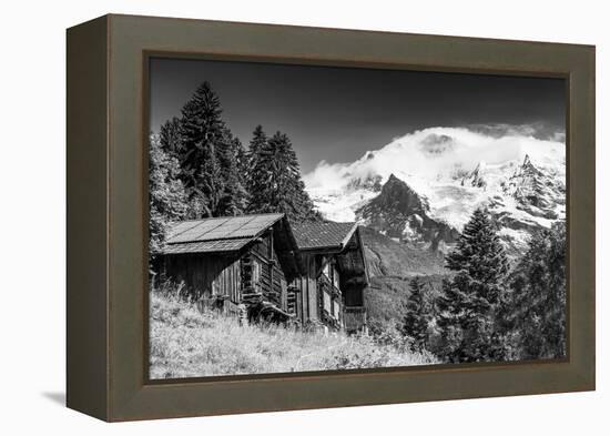 In Touch with Nature-Philippe Sainte-Laudy-Framed Premier Image Canvas