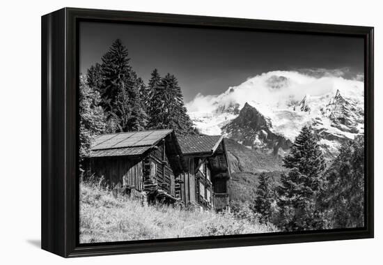 In Touch with Nature-Philippe Sainte-Laudy-Framed Premier Image Canvas