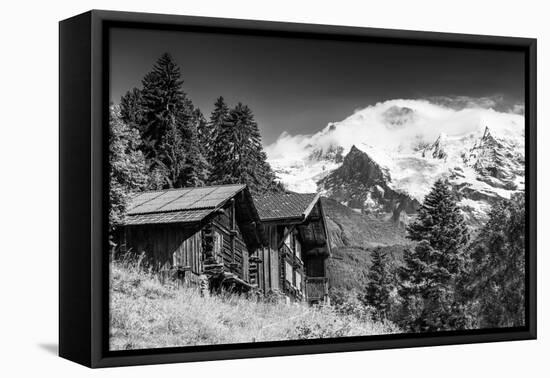 In Touch with Nature-Philippe Sainte-Laudy-Framed Premier Image Canvas