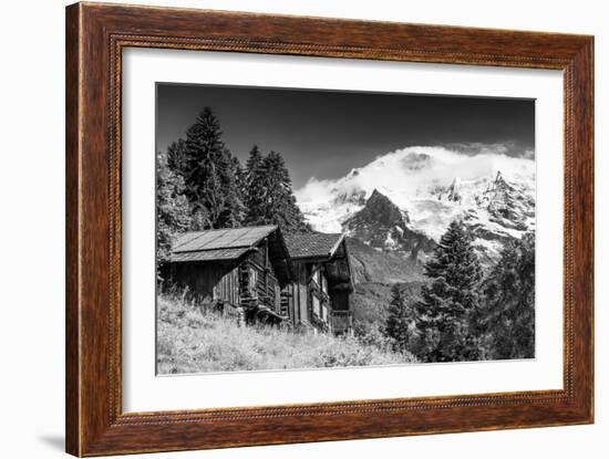 In Touch with Nature-Philippe Sainte-Laudy-Framed Photographic Print