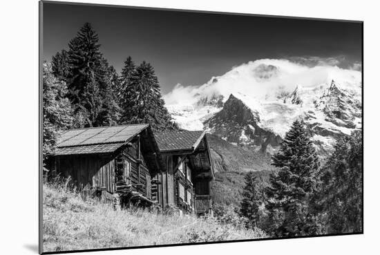 In Touch with Nature-Philippe Sainte-Laudy-Mounted Photographic Print