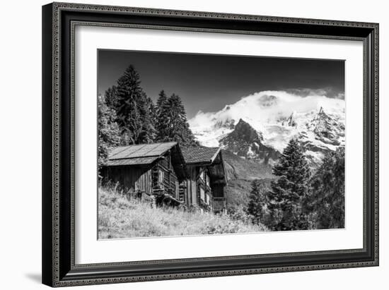 In Touch with Nature-Philippe Sainte-Laudy-Framed Photographic Print