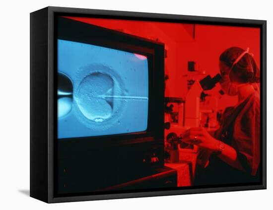 In Vitro Fertilisation-Mauro Fermariello-Framed Premier Image Canvas