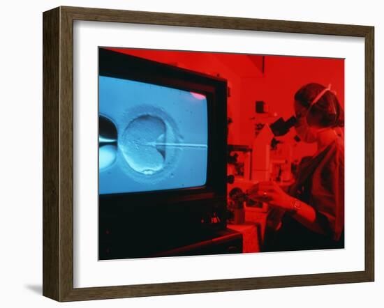 In Vitro Fertilisation-Mauro Fermariello-Framed Photographic Print