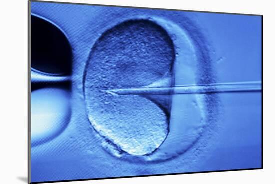 In Vitro Fertilisation-Mauro Fermariello-Mounted Photographic Print