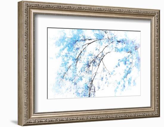 In Winter-Ursula Abresch-Framed Photographic Print