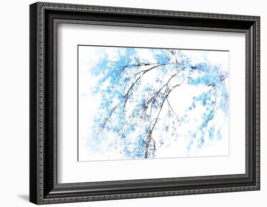 In Winter-Ursula Abresch-Framed Photographic Print